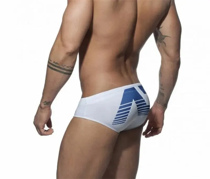 Addicted Gradient Swim Brief