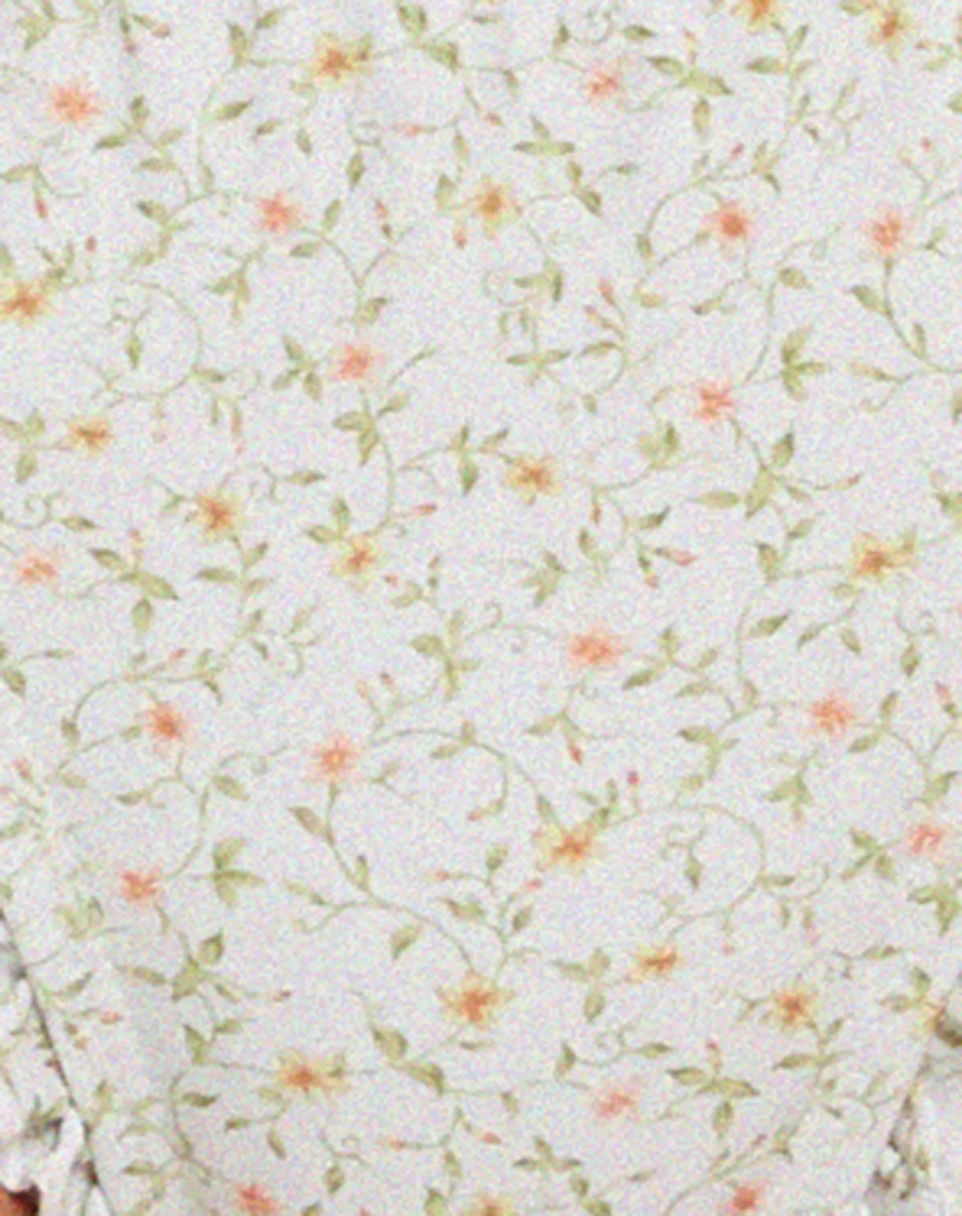 Effie Frill Bikini Bottom in Pretty Petal Ivory