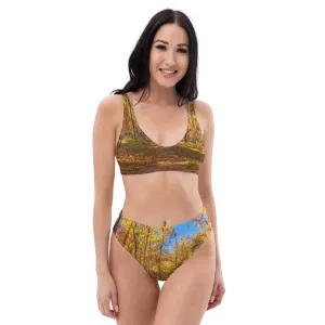 Recycled High-Waisted Bikini - Carburn Park Fall Colours